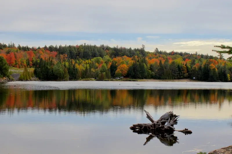 Algonquin Provincial Park